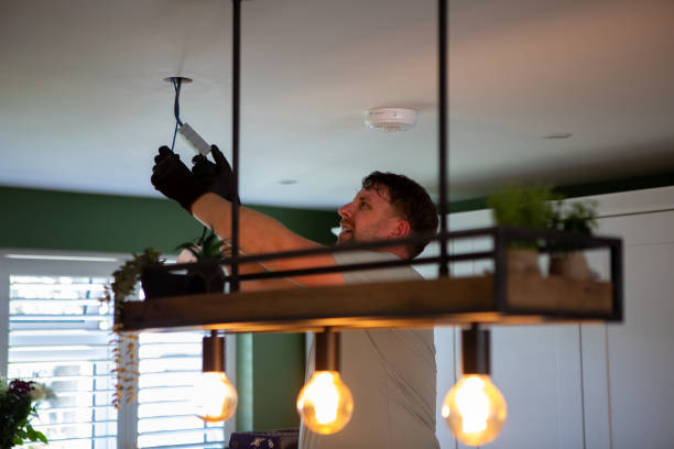 Best Electric Panel Repair  in Marionville, MO